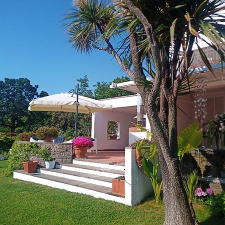 Casa De La Luna Nettuno Kültér fotó